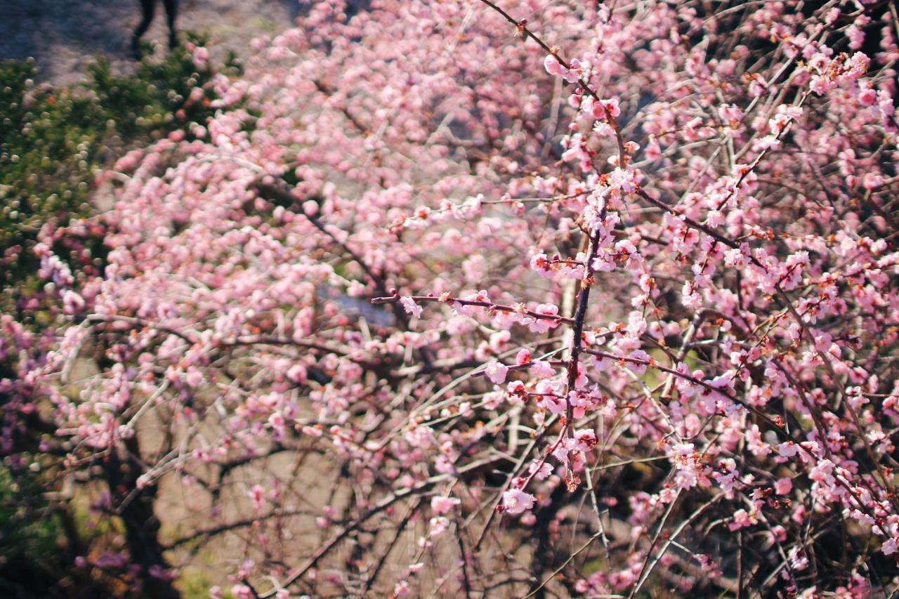 神倉書斎 Kamikura-Hideaway Apartment Shingu Bagian luar foto